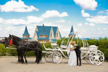 Kelemen Zoltan (Wedding Joy) #1910714