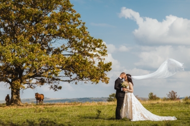 Petrovan Răzvan #1915259