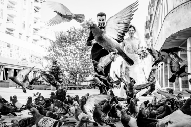 Laurentiu Nica #1917562