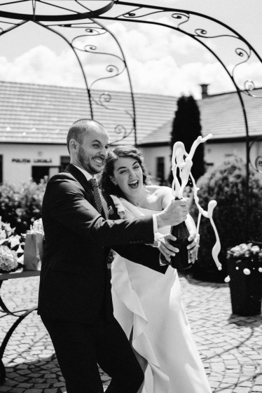 Wanderer Studio #1924461