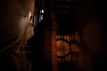 Ovidiu Oni Photographer #1927071