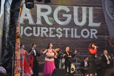 Ana Maria Dragan Fotograf #1939042