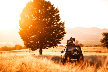 Wanderer Studio #1939896