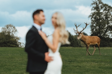 Acidut Photographer #1944566