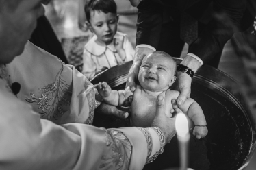 Petrovan Răzvan #1946785