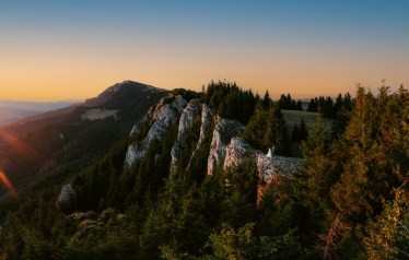 Wanderer Studio #1949140