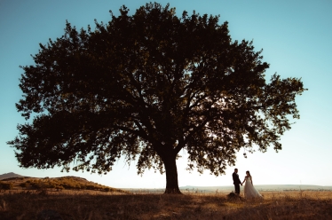 Florin Ionut Gilcanu #1953621