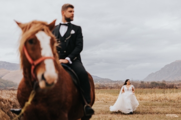 Avram Alexandru #1955914