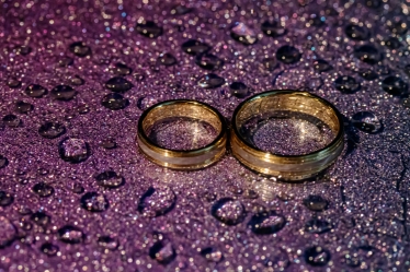 Profi Photos #1984673