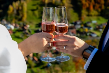 Profi Photos #1984782