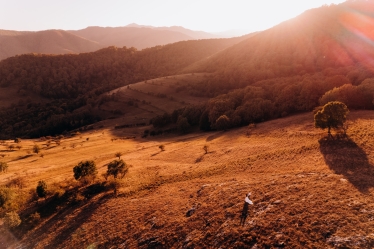 Constantin Plugari #1993855