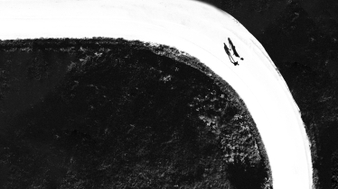 Acidut Photographer #1998288