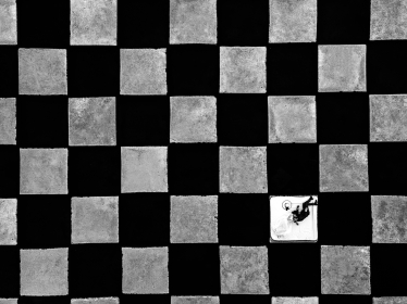 Mihai Padurariu -  fotograf #2006196