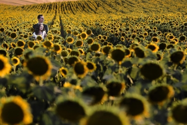 Robert David #2007311