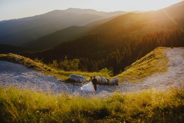 Aliona Danilescu #2012193