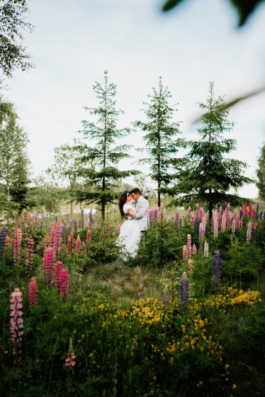 Wanderer Studio #2016935