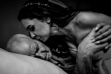 Gabriel Rose Lens #2017393