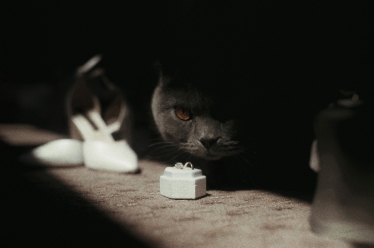 Lens Stories #2018628