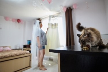 Blue Foto Studio #2019737