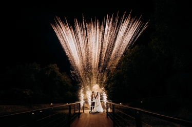 Constantin Plugari #2020120