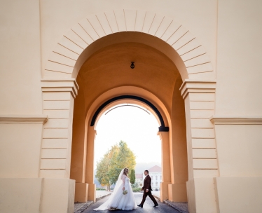 Adrian Vasile #2022545