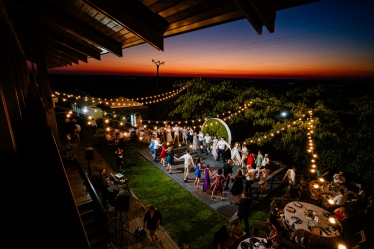 Laurentiu Nica #2023249