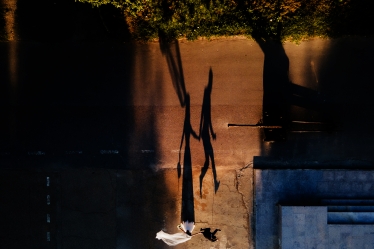 Mihai Balta #2025256