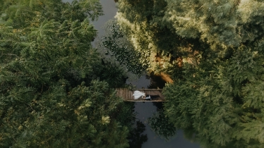 Godoi Catalin #2026074