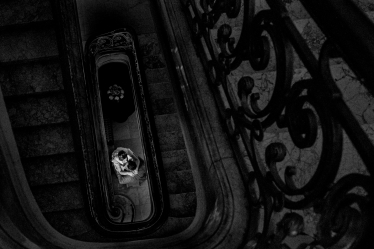 Adrian Dumitru (AdPhoto) #2027436