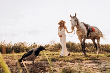 Constantin Plugari #2027612