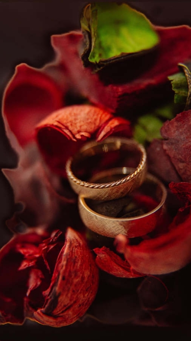 Tudor Pantelimonescu #2029062