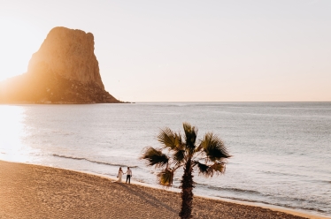 Constantin Plugari #2034188