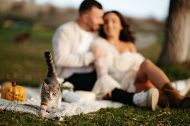 Acidut Photographer #2035326