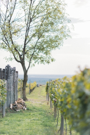 Fotografie realizată de Picturesque Life Stories - #2039531