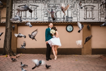 Photo Bites Studio #2048063