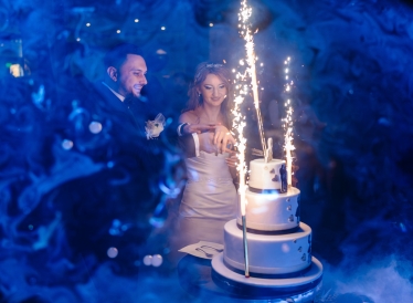 Feel Free Studio #2050928