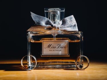 Feel Free Studio #2050947