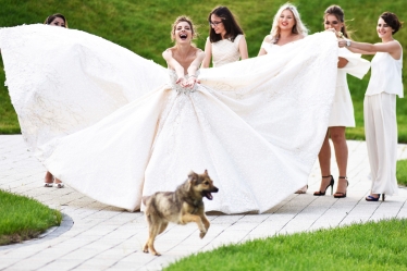 Robert David #2066357