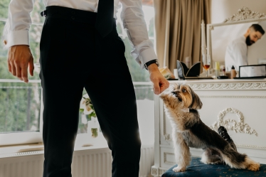 The Solomons #2066829