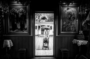 Constantin Plugari #2068442