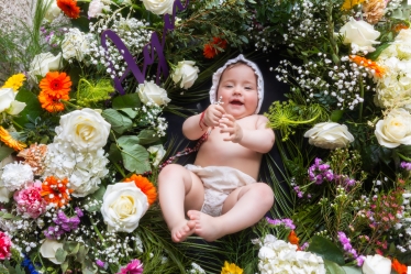 photos by oli #2069435