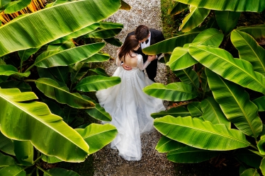 Casian Podarelu #2070597