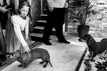 Paul Budusan Fotografie / Videografie de Nunta #2072689