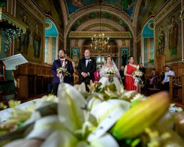 Foto Penișoară #2073253