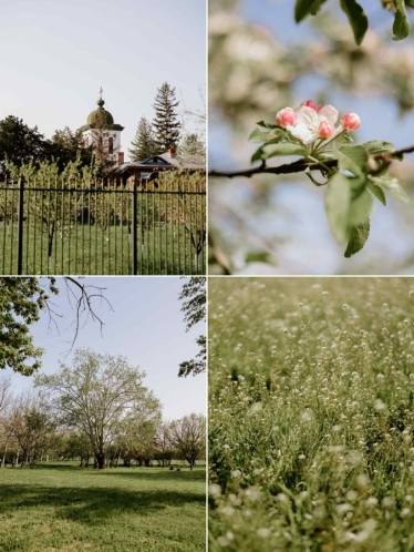 Fotografie realizată de Sfinx Production - #2074730