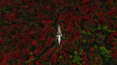 Liviu Stefan #2075315