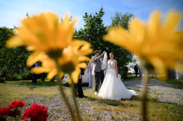 Filip Smadoi Fotograf #2075797