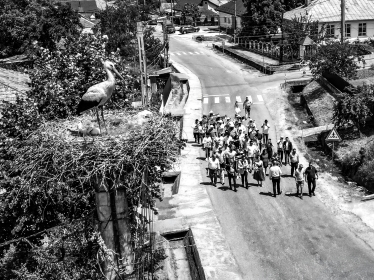 Acidut Photographer #2075832