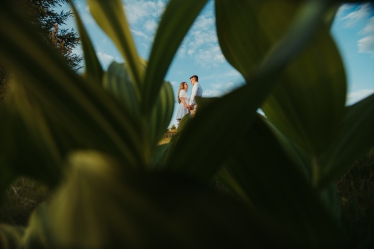 Sorin Birsan Photography #2077997