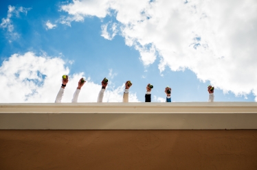 Soso Photography #2078027